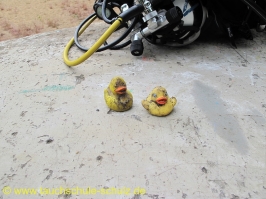 Ausbildungswochenende Pretzien 12.-14.06.2015